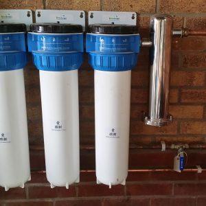 Revitalisation Systems